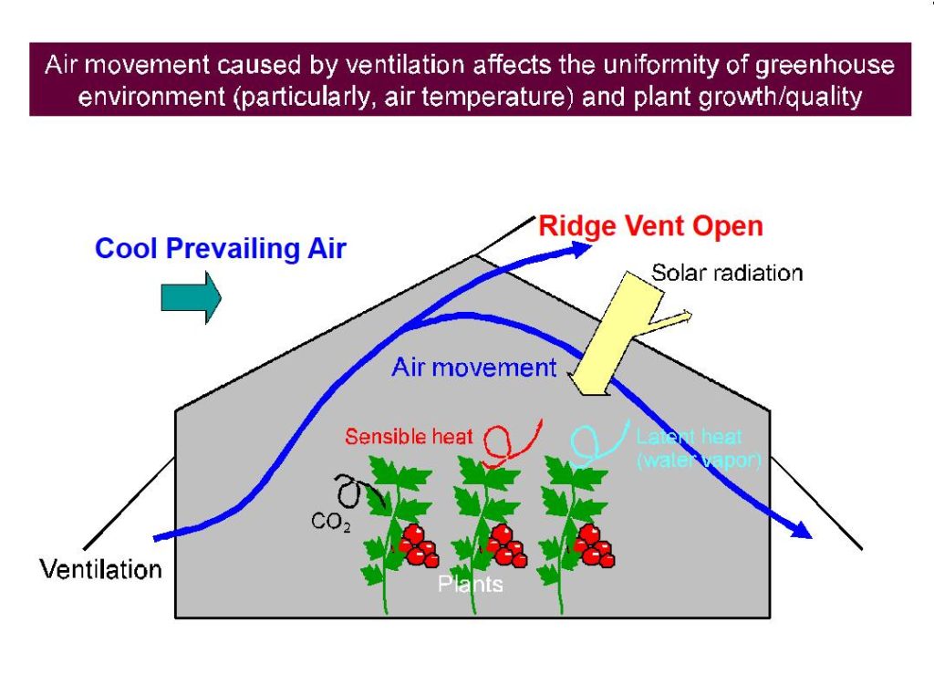 Greenhouse Ventilation Tips SuntexCP