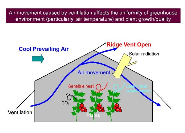 Greenhouse Ventilation Tips - SuntexCP