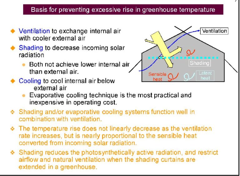 Greenhouse Ventilation Tips SuntexCP